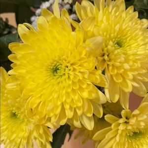 Meet your Posher, Cheryl